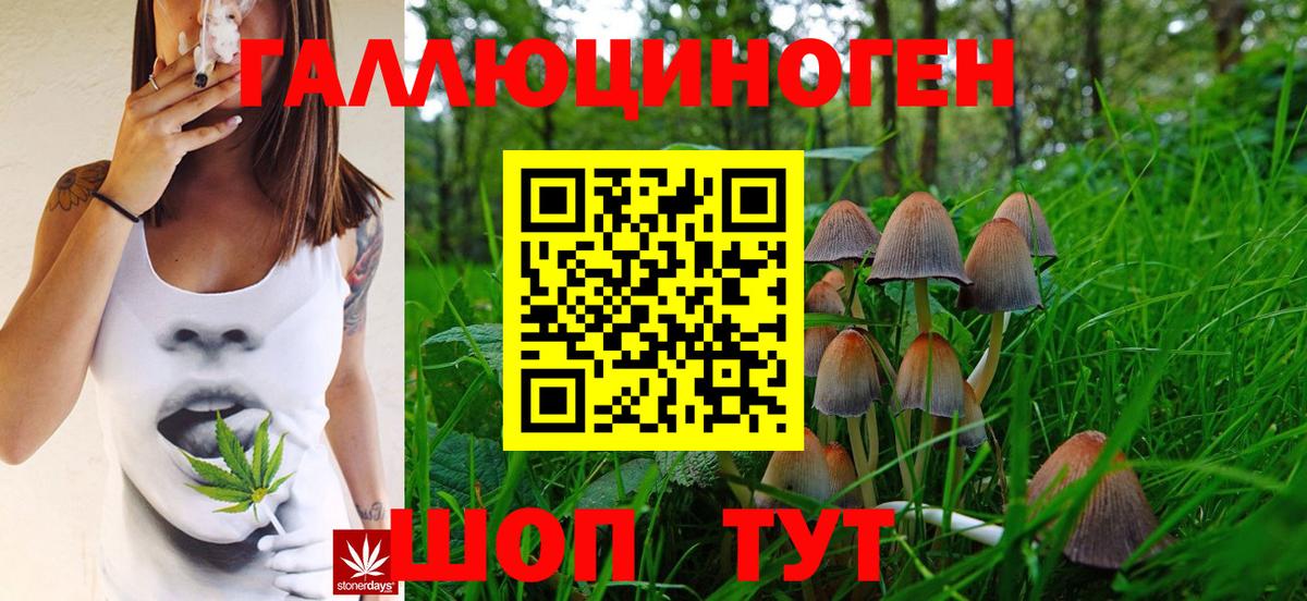 Псилоцибиновые грибы мухоморы  Вход с VPN  Галлюциногенные грибы Magic Shrooms  Ставрополь 